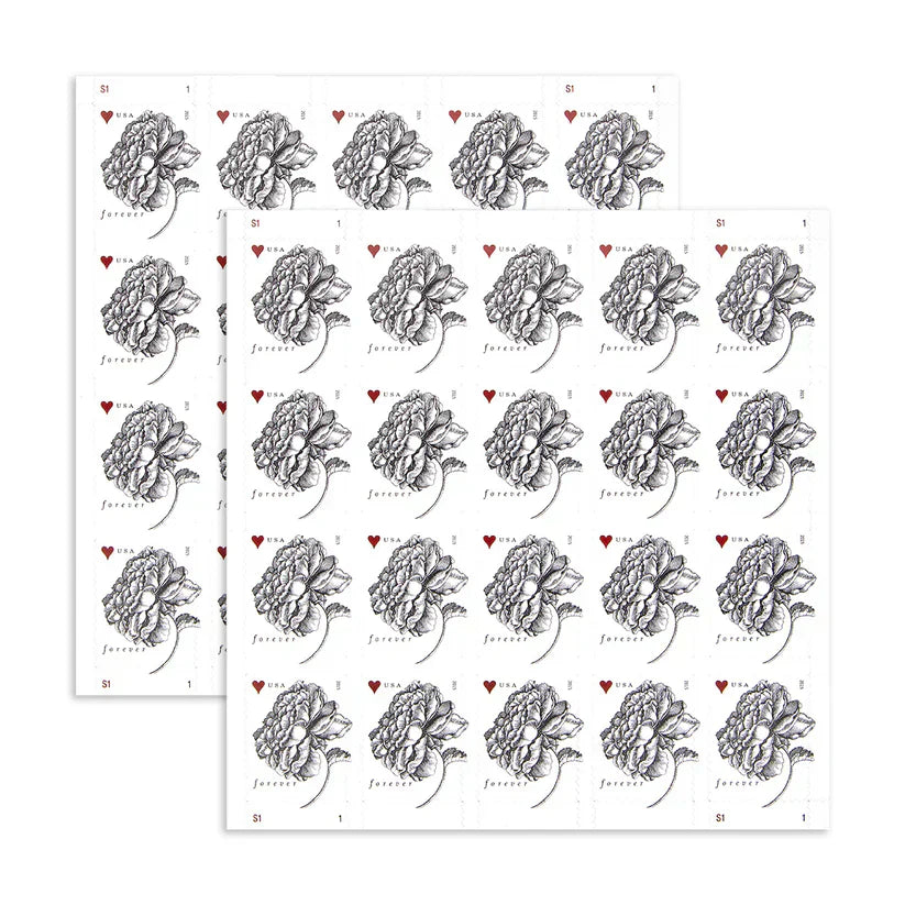 2015 Love Forever Stamp – Engraved Flower Illustration | First-Class Postage Sheet